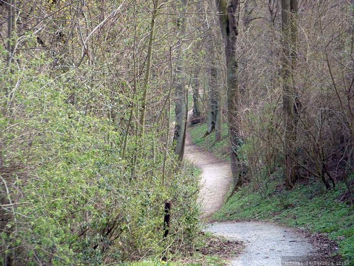 Weg zum Gymnasium Marktbreit im April 2004