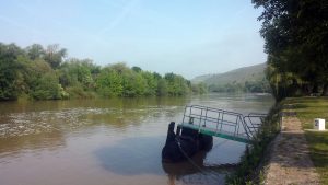 Hochwasser führender Main am 10. Juni 2021 bei Randersacker