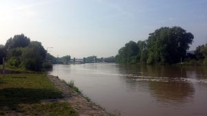Hochwasser führender Main am 10. Juni 2021 bei Randersacker