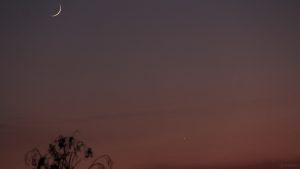Konstellation schmale Mondsichel und Venus am 12. Juni 2021