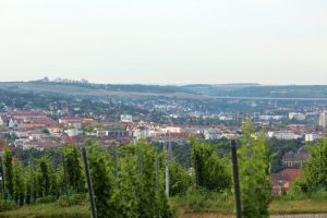 Blick vom Würzburger Schalksberg auf die Stadt