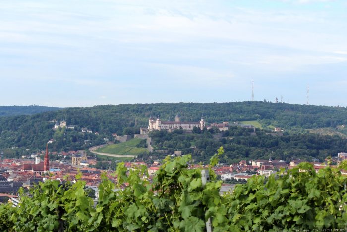 Blick vom Würzburger Schalksberg auf die Festung Marienberg
