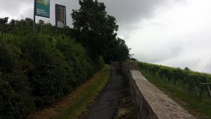 Rotkreuzsteige am Würzburger Stein