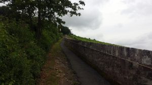 Rotkreuzsteige am Würzburger Stein