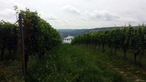 Blick vom Stein auf die Alte Mainbrücke in Würzburg
