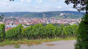 Würzburger Stein unterhalb Hans-Brandmann-Weg