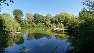 Fischweier im Landkreis Würzburg
