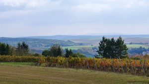 Blick vom terroir f Rimpar zum Schwanberg im Steigerwald