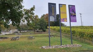 terroir f Frickenhausen - Wein und Bibel