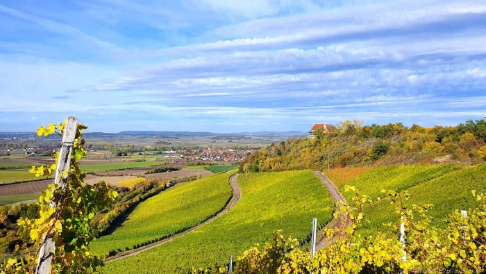 Blick vom Weg zum terroir f Ipsheim auf den Weinort Ipsheim und die Burg Hoheneck