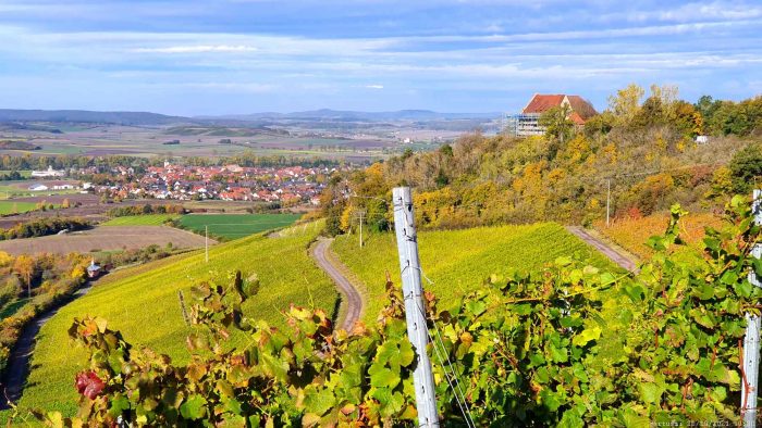Blick vom Weg zum terroir f Ipsheim auf den Weinort Ipsheim und die Burg Hoheneck