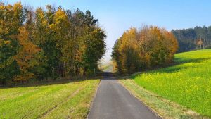 Weg von den Hügelgräbern zum terroir f Karlstadt-Stetten
