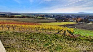 Weinberge unterhalb des terroir f Markt Einersheim – Wein und Adel