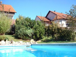 Unser Garten am 12. September 2002