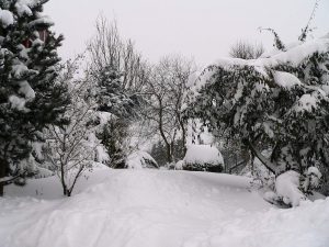 Unser Garten am 25. Dezember 2010