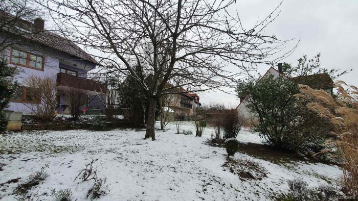 Unser Garten am 7. Januar 2022 - erster Schnee im neuen Jahr