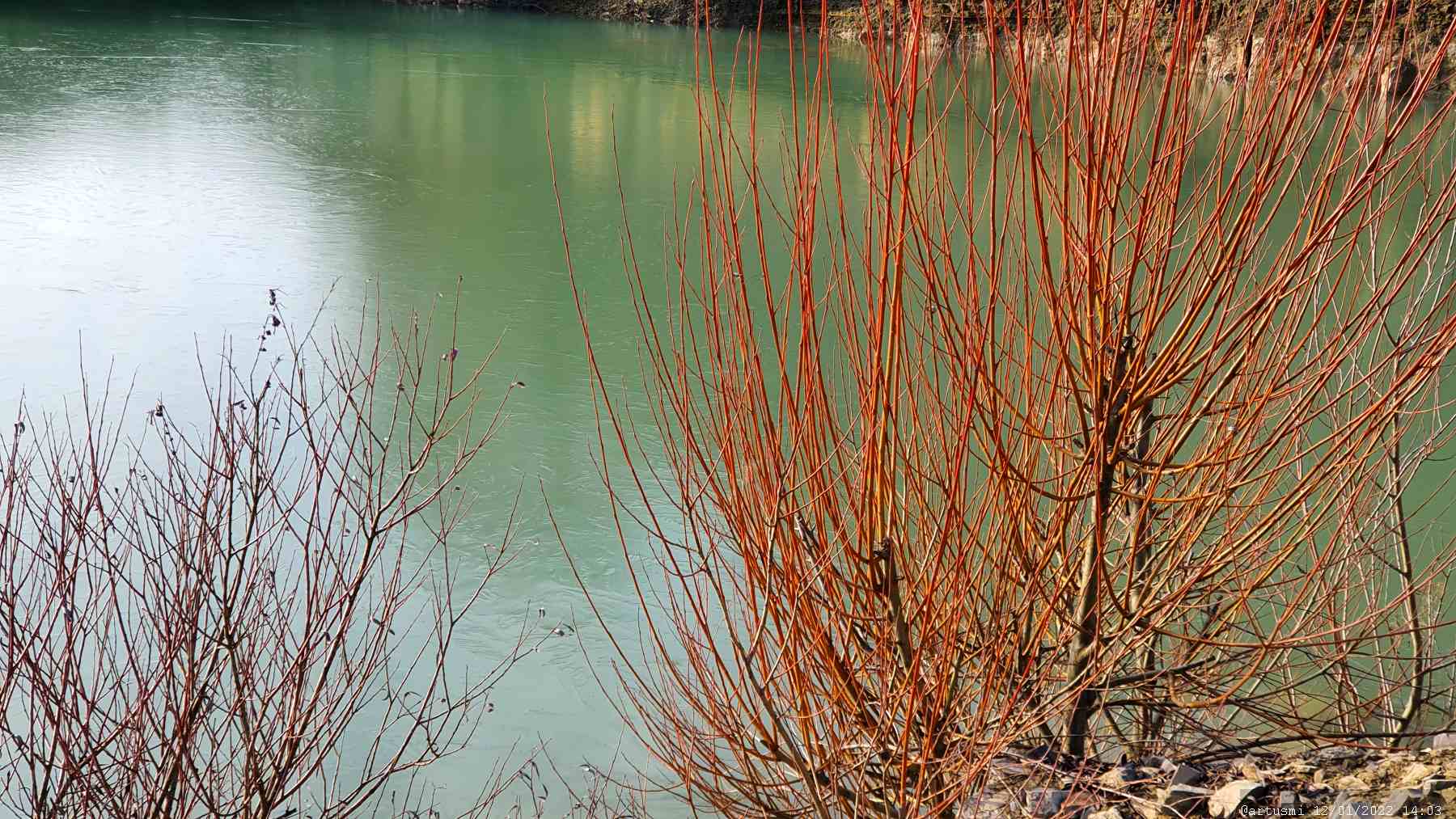 Zugefrorener See am Steinbruch am Bachleitenberg (Bohleite)
