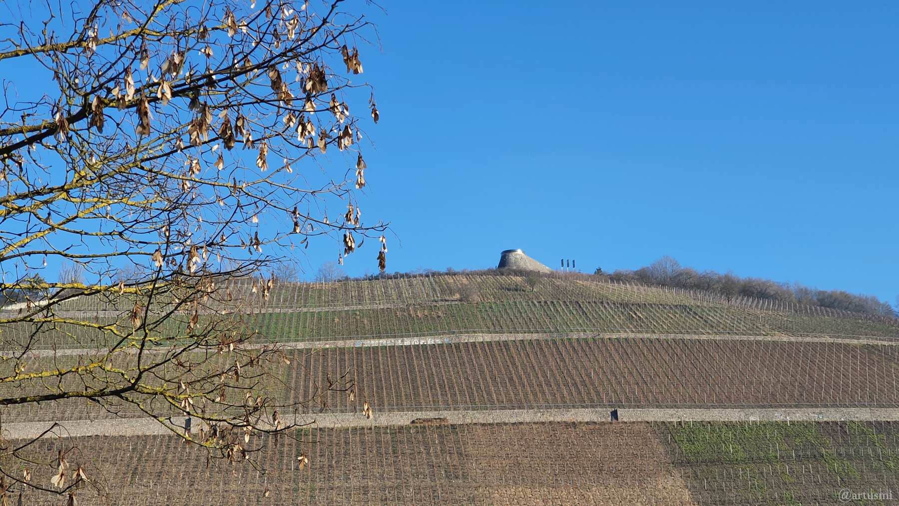 Randersackerer Weinlage Sonnenstuhl mit terroir f am 14. Januar 2022