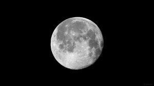 Abnehmender Mond mit randnahem Mare Crisium am 19. Januar 2022