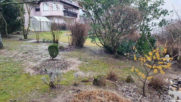 Unser Garten während des Sturmtiefs Roxana am 6. Februar 2022
