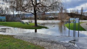 Hochwasser am 9. Februar 2022 am Main bei Randersacker