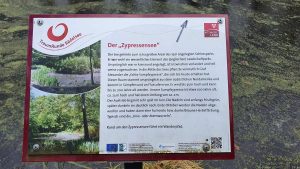Infotafel: Der "Zypressensee" am Schwanberg