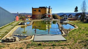 Schwimmteich im Weingut Hirn in Untereisenheim