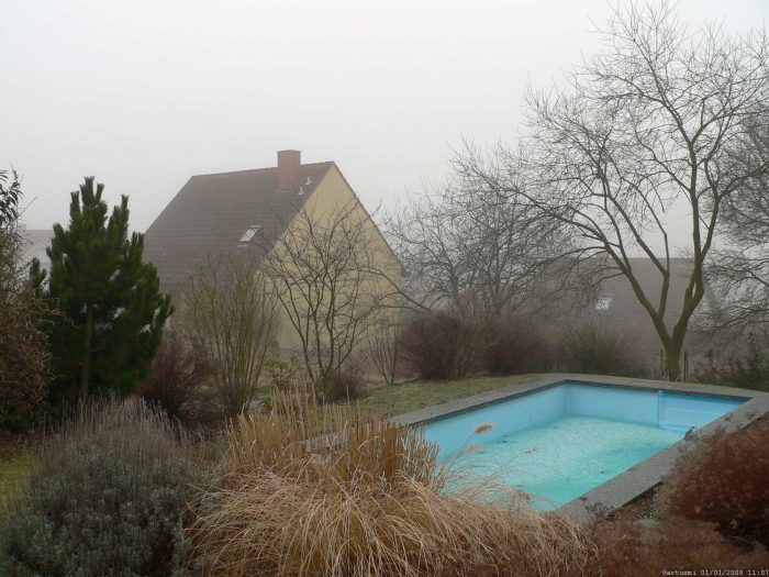 Unser Garten mit Salweide (oben rechts) am 1. Januar 2008