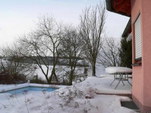 Unsere Salweide (links im Bild) am 2. Februar 2010