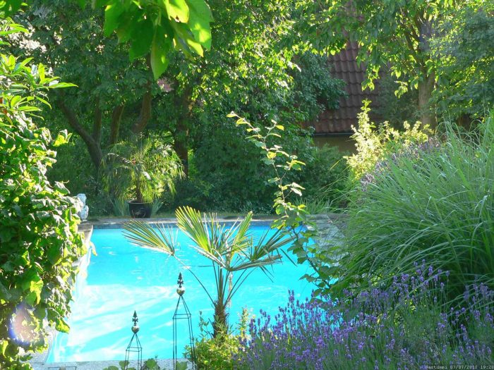 Unser Garten mit Salweide (links oben) am 7. Juli 2010