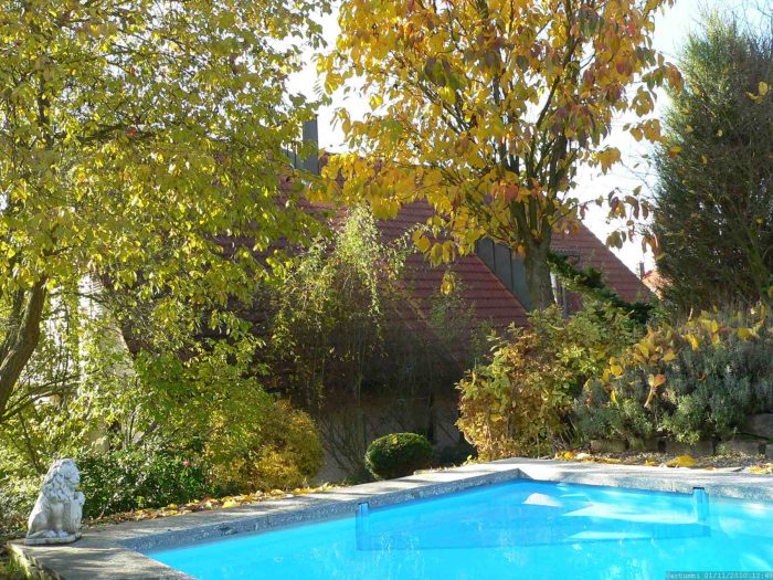 Unser Garten mit Salweide (links im Bild) am 1. November 2010
