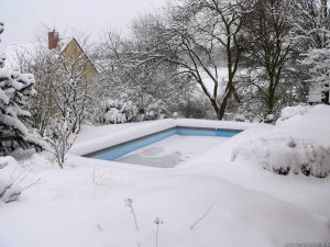 Unser Garten mit Salweide am 25. Dezember 2010