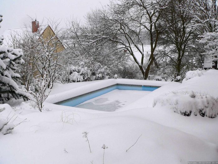 Unser Garten mit Salweide am 25. Dezember 2010