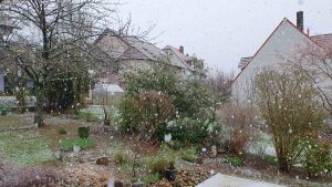 Schnee im Frühling - Unser Garten am 8. April 2022