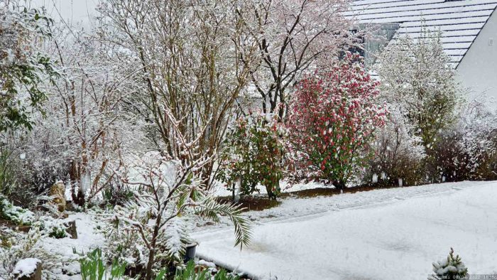 Schnee im Frühling - Unser Garten am 8. April 2022