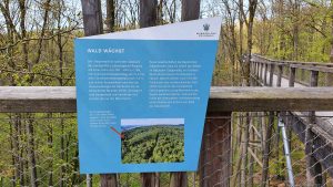 Weg zum Aussichtsturm am Baumwipfelpfad Steigerwald