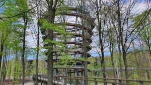 Weg zum Aussichtsturm am Baumwipfelpfad Steigerwald