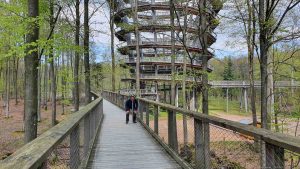Weg zum Aussichtsturm am Baumwipfelpfad Steigerwald