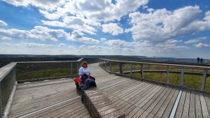 Aussichtsturm am Baumwipfelpfad Steigerwald