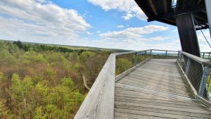 Aussichtsturm am Baumwipfelpfad Steigerwald
