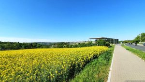 Hochschule für angewandte Wissenschaften Würzburg-Schweinfurt - FHWS - Sanderheinrichsleitenweg 20 in Würzburg