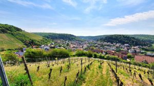 Blick vom terroir f auf Ramsthal