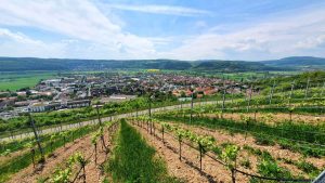 Blick vom terroir f auf Hammelburg