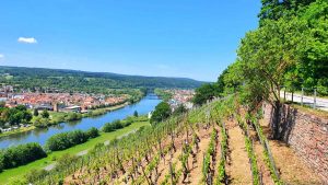 Blick vom terroir f Churfranken - Erlenbacher Winzergold auf Wörth und Erlenbach am Main