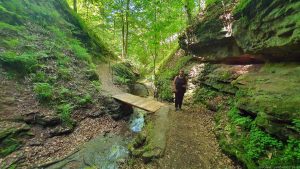 Seltenbachschlucht in Klingenberg am Main am 14. Mai 2022