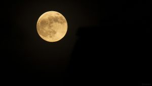 Zunehmender Mond am 15. Mai 2022 vor der Mondfinsternis