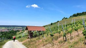 Bodenstation Alzenau-Michelbach