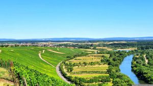 Blick von der Vogelsburg nach Volkach am Main