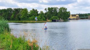 Stehpaddeln (Stand-Up-Paddling) auf dem Main