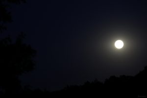 Ende der Vollmondnacht am 13./14. Juli 2022